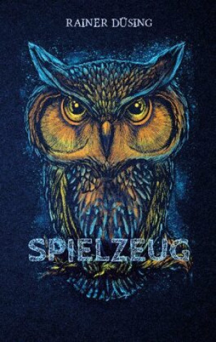 Boek Spielzeug Rainer Düsing