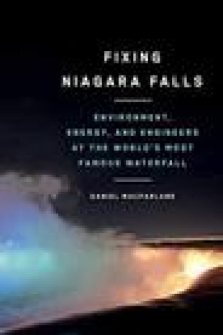 Buch Fixing Niagara Falls Daniel Macfarlane