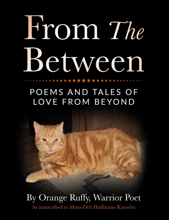Knjiga From the Between Debra Hoffmann Knowles