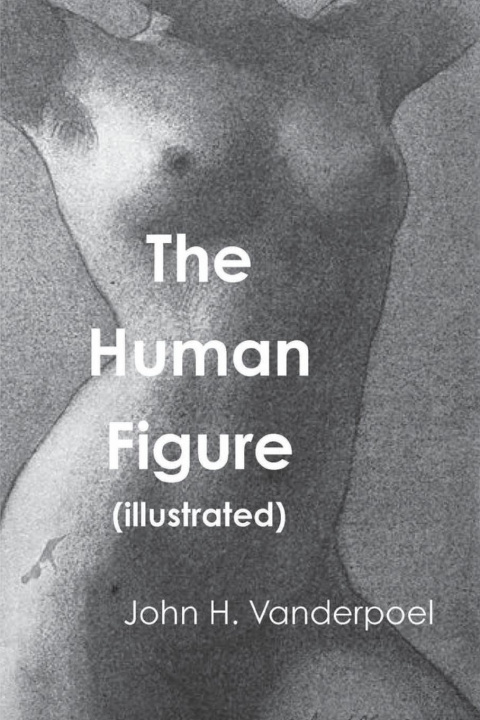 Книга The Human Figure 