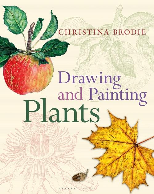 Kniha Drawing and Painting Plants Christina Brodie