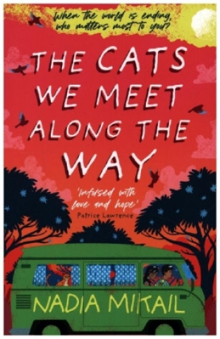 Kniha Cats We Meet Along the Way Nadia Mikail