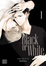 Könyv Black or White, Vol. 1 Sachimo