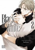 Könyv Black or White, Vol. 2 Sachimo