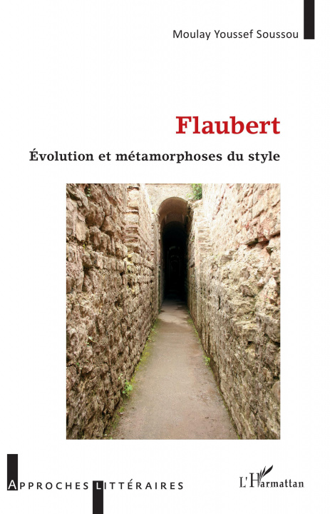 Könyv Flaubert Soussou