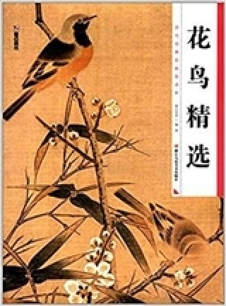 Kniha Hua Niao / Les oiseaux et Fleurs (Peinture chinois) Modian Meishu