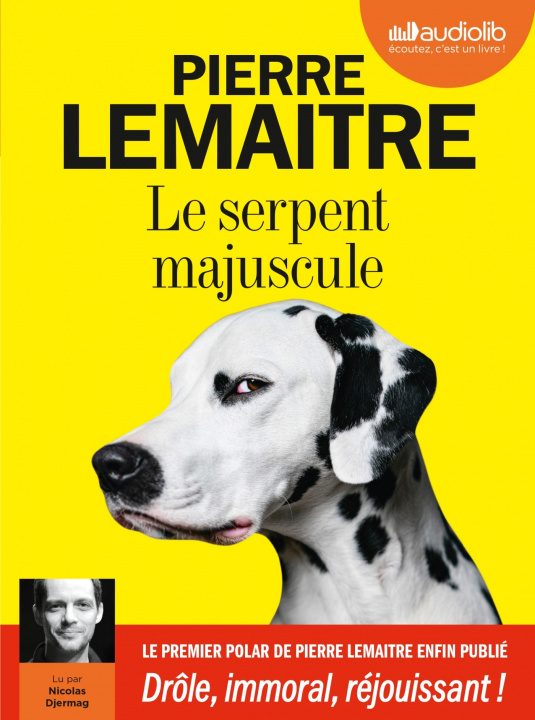 Buch Le Serpent majuscule  Pierre Lemaitre