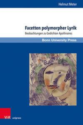 Knjiga Facetten polymorpher Lyrik Helmut Meter