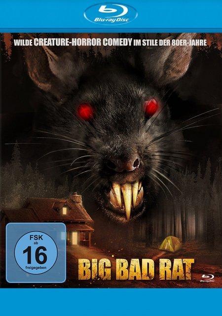 Video Big Bad Rat Daniel Murray