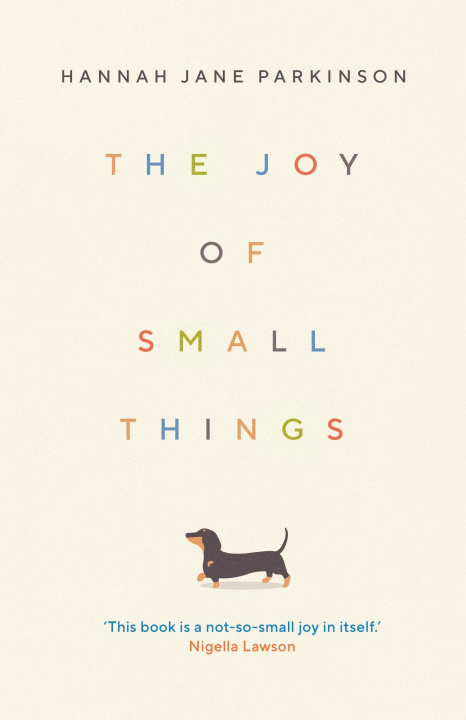 Könyv Joy of Small Things 