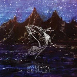 Zvok Skellig David Gray
