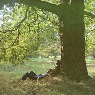 Audio Plastic Ono Band 