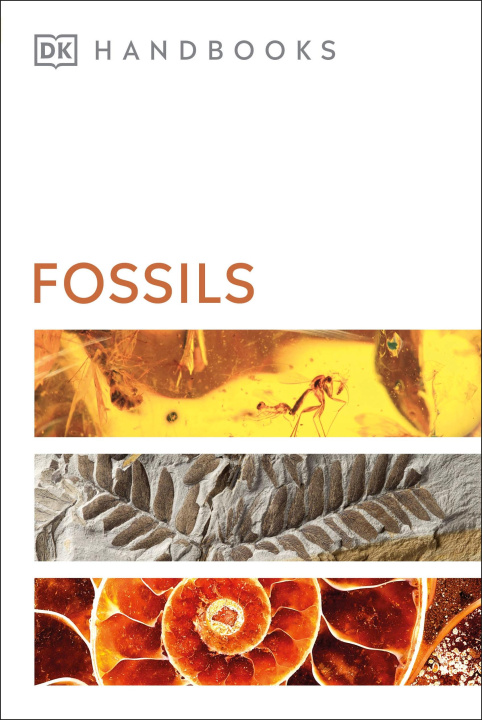 Kniha Fossils DK