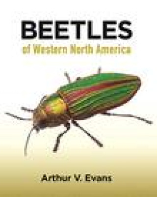 Книга Beetles of Western North America Arthur V. Evans