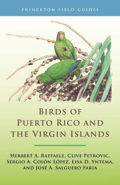Carte Birds of Puerto Rico and the Virgin Islands Birds of the West Indies Herbert A. Raffaele