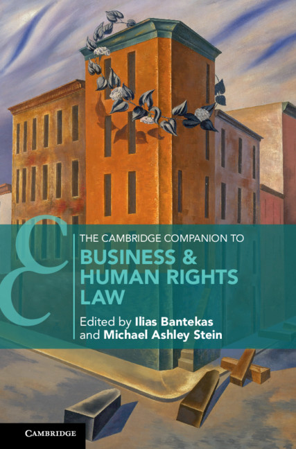 Könyv Cambridge Companion to Business and Human Rights Law 