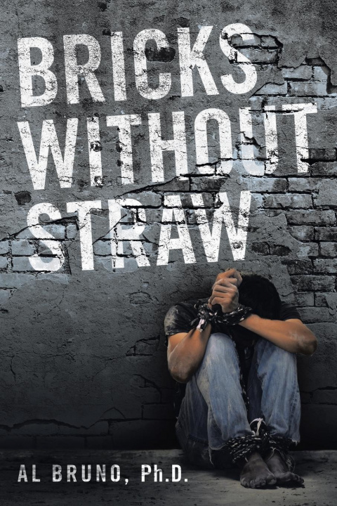 Knjiga Bricks Without Straw Bruno Ph.D. Al Bruno Ph.D.