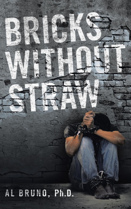 Knjiga Bricks Without Straw Bruno Ph.D. Al Bruno Ph.D.