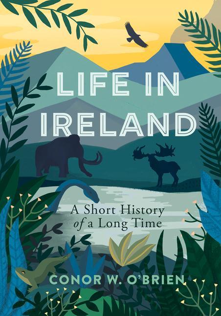 Könyv Life in Ireland Conor O'Brien