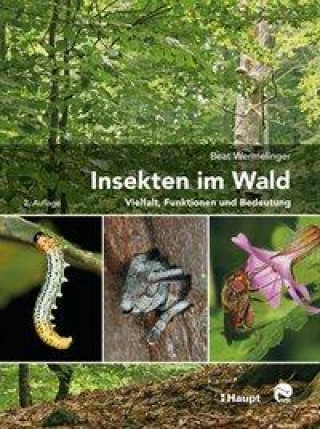 Kniha Insekten im Wald 