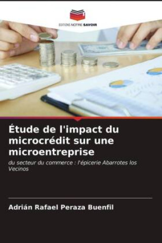 Knjiga Etude de l'impact du microcredit sur une microentreprise Peraza Buenfil Adrian Rafael Peraza Buenfil