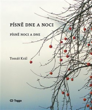 Könyv Písně dne a noci Tomáš Král