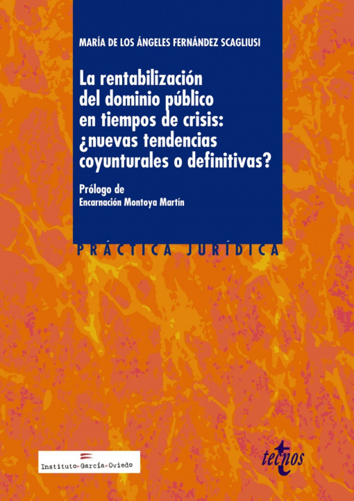 Kniha La rentabilización del dominio público en tiempos de crisis:¿nuevas tendencias c MARIA ANGELES FERNANDEZ SCAGLIUSI