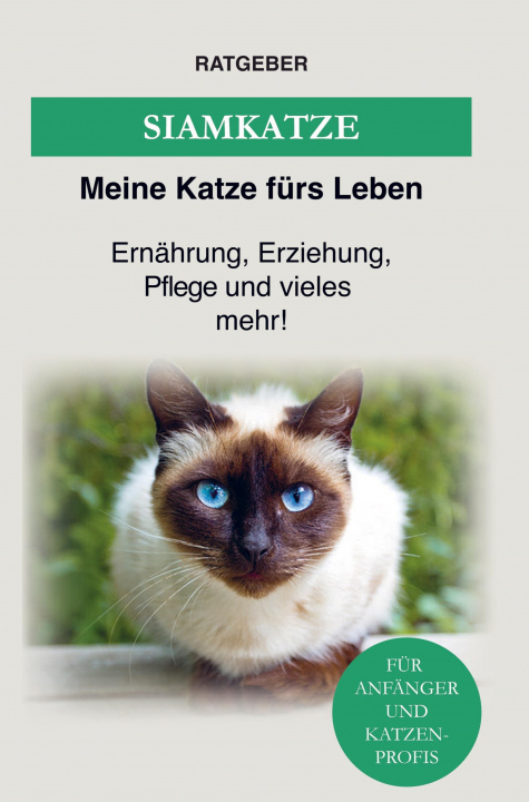 Knjiga Siamkatze Ratgeber Meine Katze fürs Leben
