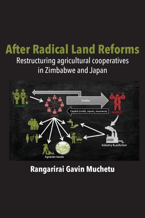 Boek After Radical Land Reform RANGARIRAI MUCHETU