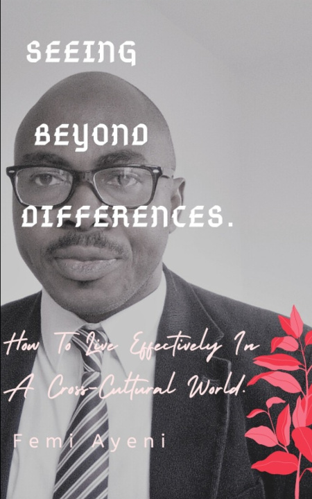 Knjiga Seeing Beyond Differences. Ayeni Femi Ayeni
