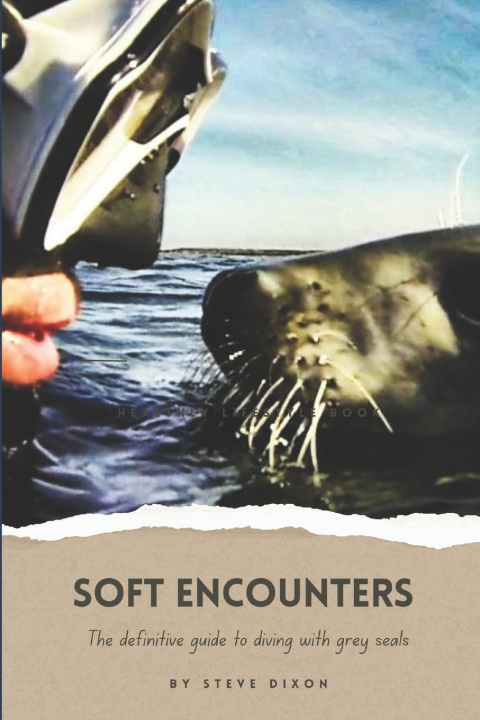 Knjiga Soft Encounters Dixon Steve Dixon