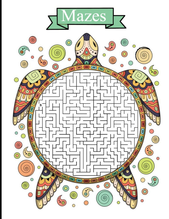 Kniha mazes Zinaoui Oussama Zinaoui