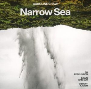 Audio Caroline Shaw:Narrow Sea 