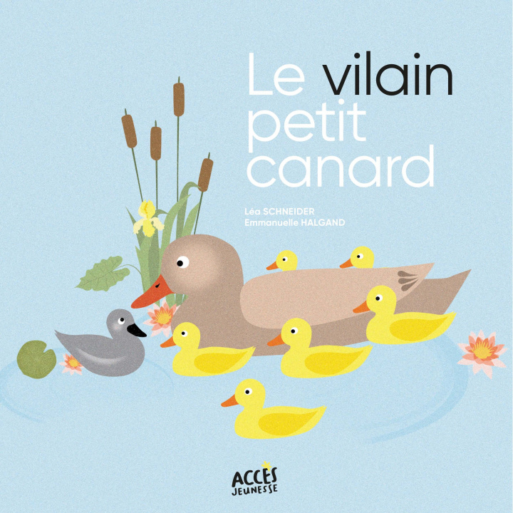 Boek Le vilain petit canard Schneider