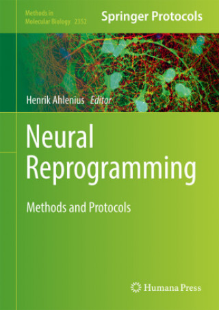 Książka Neural Reprogramming 