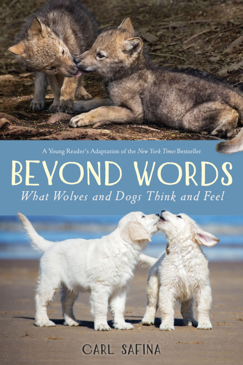 Könyv Beyond Words: What Wolves and Dogs Think and Feel (A Young Reader's Adaptation) Carl Safina