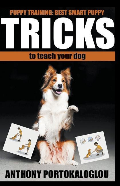 Kniha Dog Tricks 