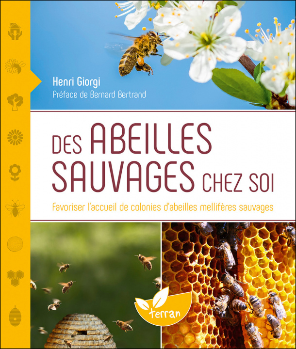 Книга Des abeilles sauvages chez soi - Favoriser l'accueil de colonies d'abeilles mellifères sauvages Giorgi