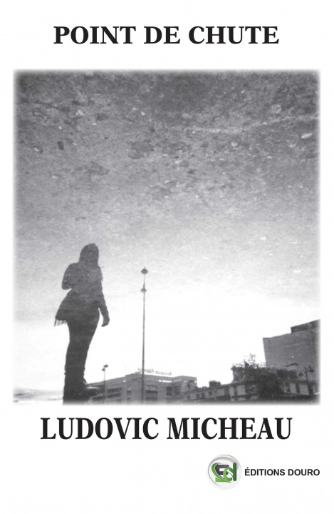 Knjiga Point de Chute Ludovic Micheau