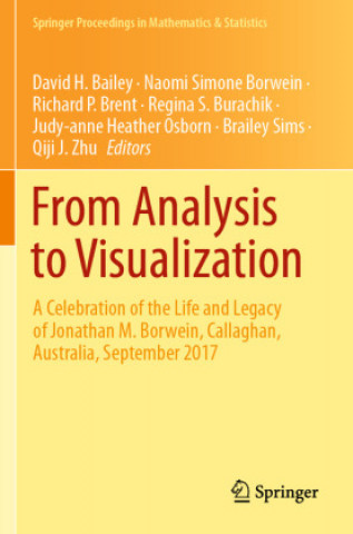 Kniha From Analysis to Visualization Naomi Simone Borwein