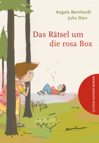 Kniha Das Rätsel um die rosa Box Julia Dürr