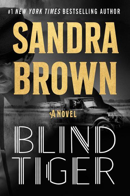 Knjiga Blind Tiger Sandra Brown