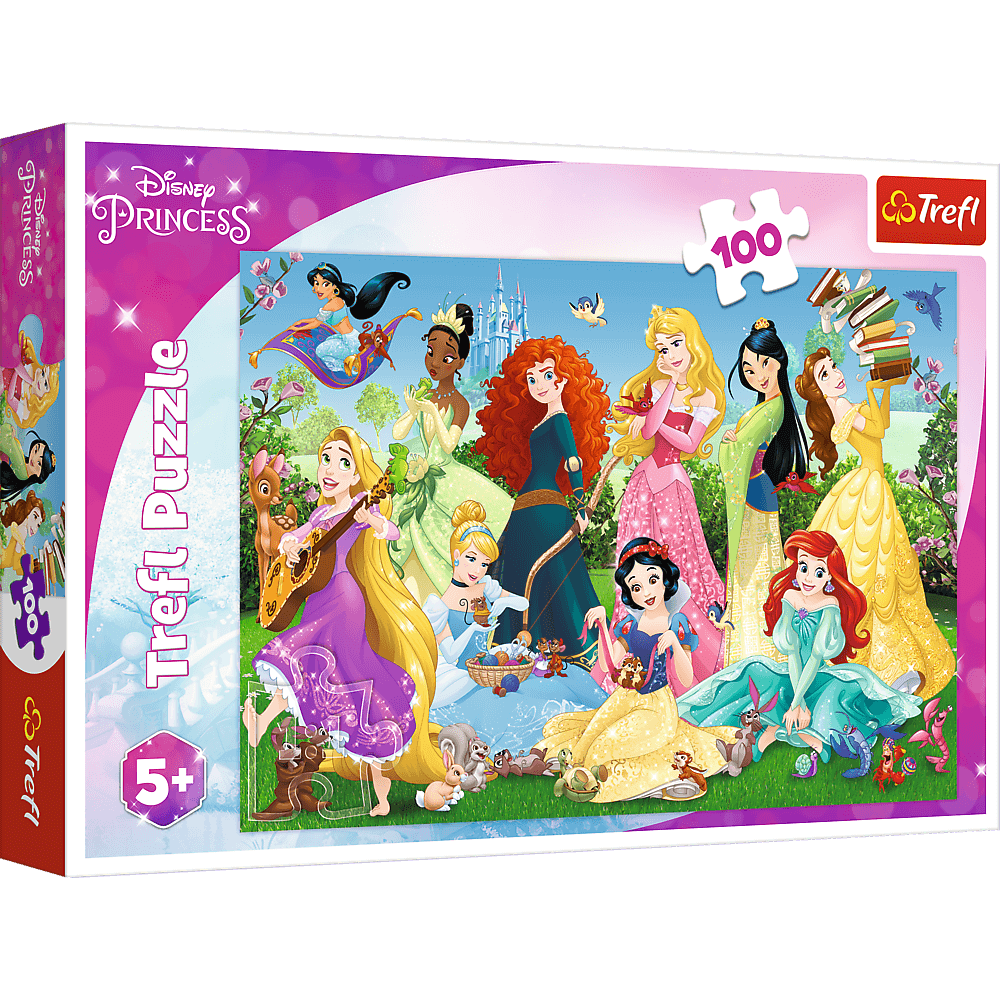 Gra/Zabawka Puzzle Okouzlující princezny 