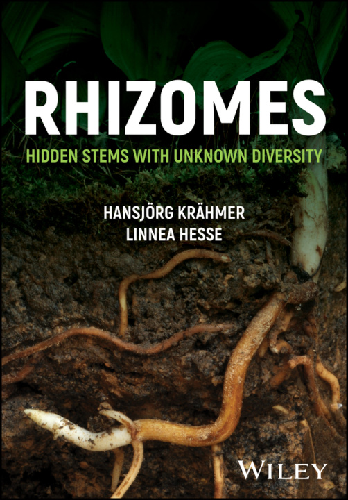 Buch Rhizomes Linnea Hesse