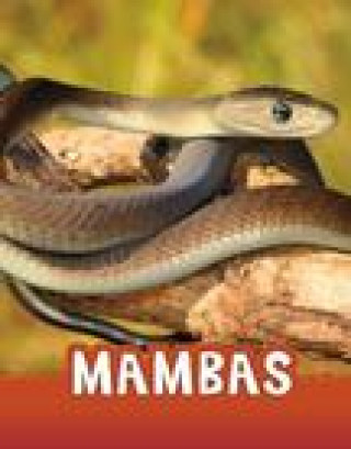 Boek Mambas JAYCOX  JACLYN
