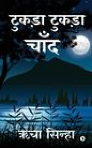 Libro Tukda Tukda Chand Richa Sinha