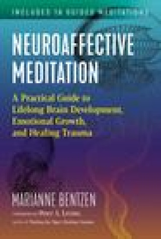 Książka Neuroaffective Meditation Peter A. Levine