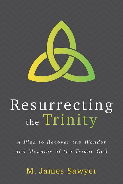 Carte Resurrecting the Trinity: A Plea to Recover the Wonder and Meaning of the Triune God 
