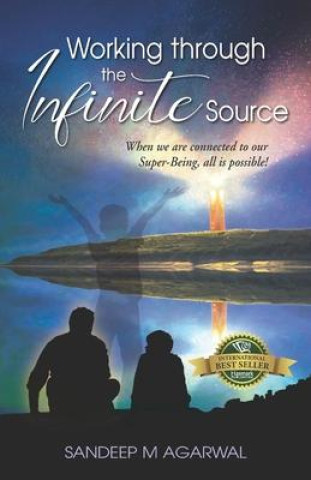 Knjiga Working through the Infinite Source Agarwal Sandeep M Agarwal