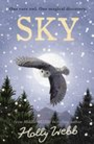 Knjiga Sky Holly Webb